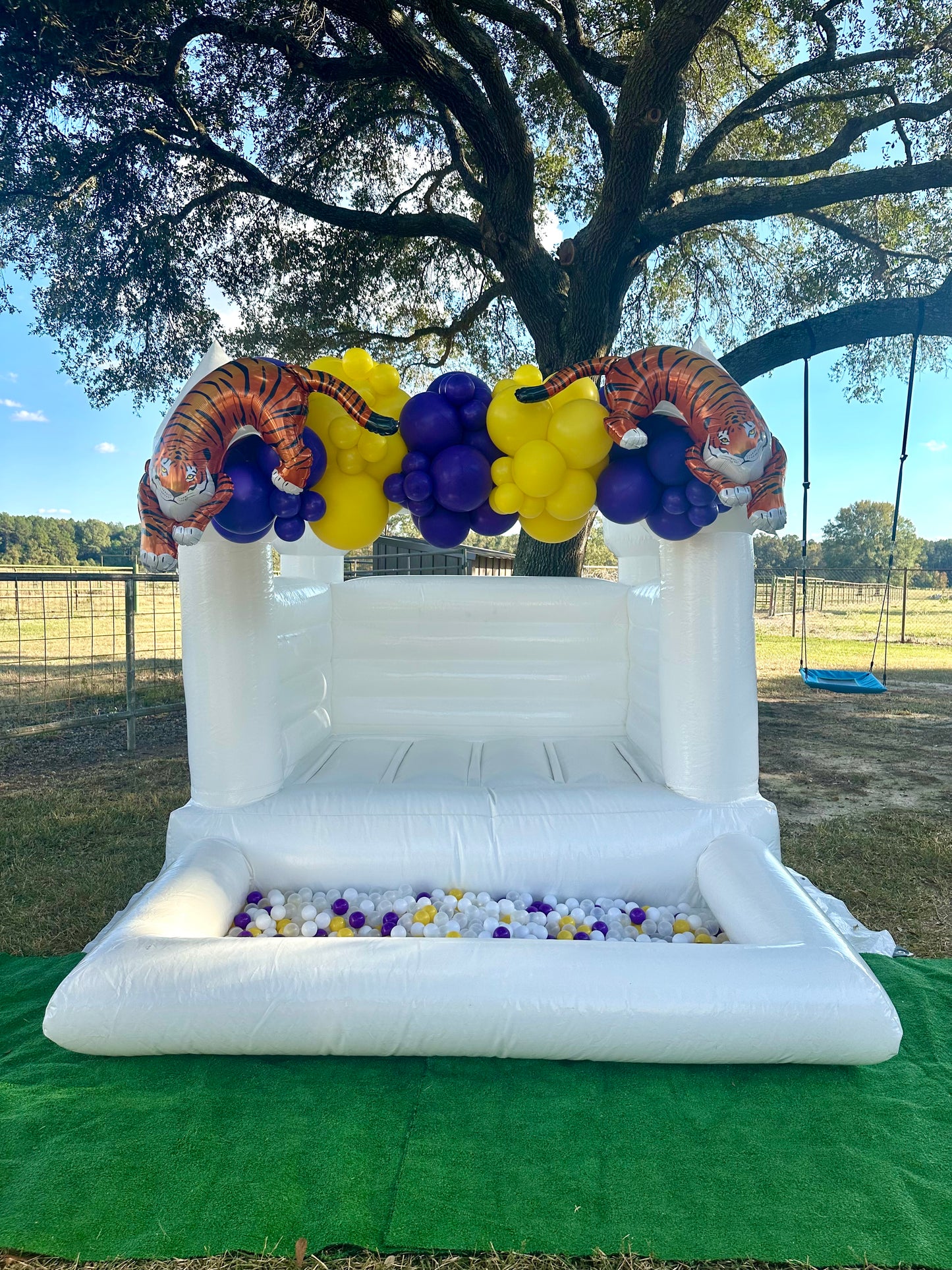 Balloon Arch with Mylars for the Mini Bounce House